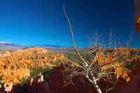 Bryce Canyon