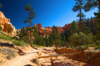 Bryce Canyon