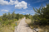 Etosha Dolomite camp