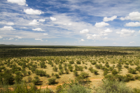 Etosha Dolomite savannah