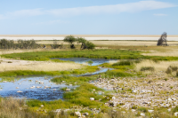 Etosha waterhole and pan