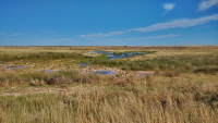 Etosha green waterhole