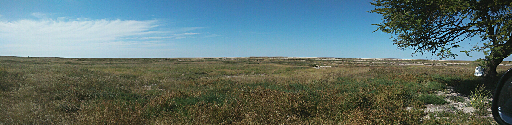 Etosha panorama