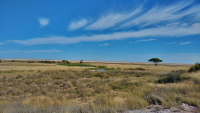 Etosha waterhole pan