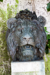 London zoo lion head