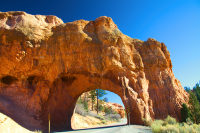 Red Canyon gate