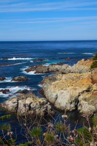 San Francisco Coast