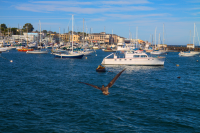 Monterey Harbor