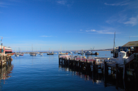 Monterey Harbor