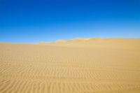 Namib desert