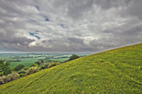 Watership Down climbing the down