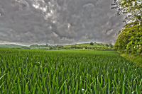 Watership Down view from distance