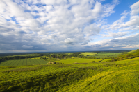 Watership Down view