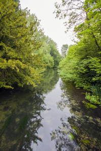 Watership Down river test