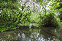 Watership Down river test