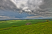 Watership Down real downhill