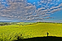 Watership Down with shadow