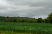 field before Watership Down