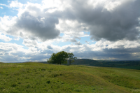 top on Watership Down