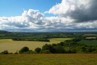 Watership Down to east