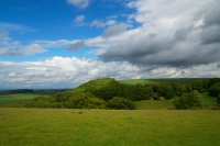 view in direction of Watership Down