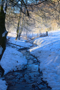 curling river in winter