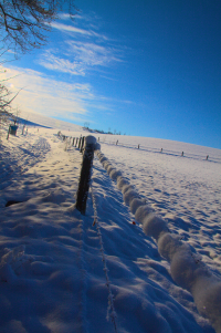 winter fence