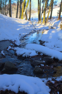 winter river