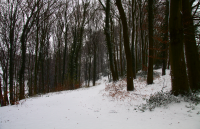 winter way